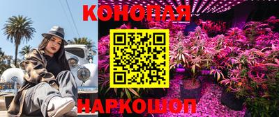 тгк Лесосибирск