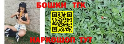 тгк Лесосибирск