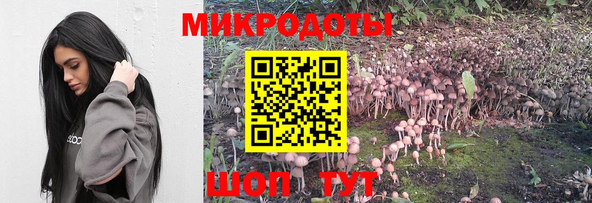 Псилоцибиновые грибы Cubensis Гусев