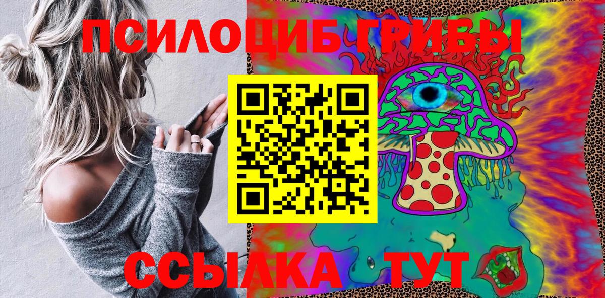 Галлюциногенные грибы Psilocybine cubensis  Вход с VPN  Гусев  Псилоцибиновые грибы мухоморы 